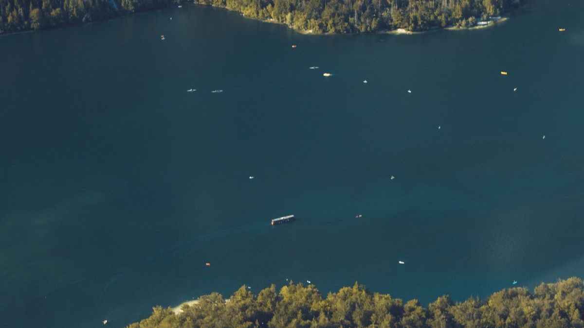 Bohinjsko jezero među zelenim šumama i alpskim padinama